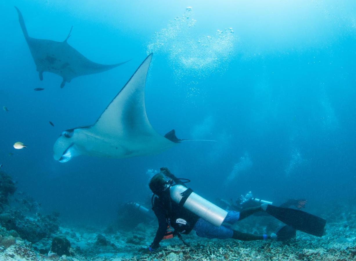 South Ari Dive Center 호텔 당게티 외부 사진