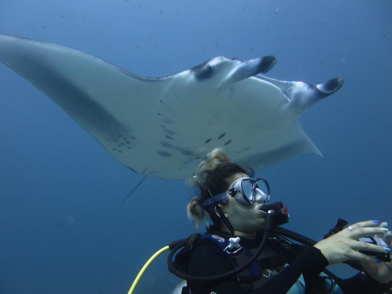 South Ari Dive Center 호텔 당게티 외부 사진