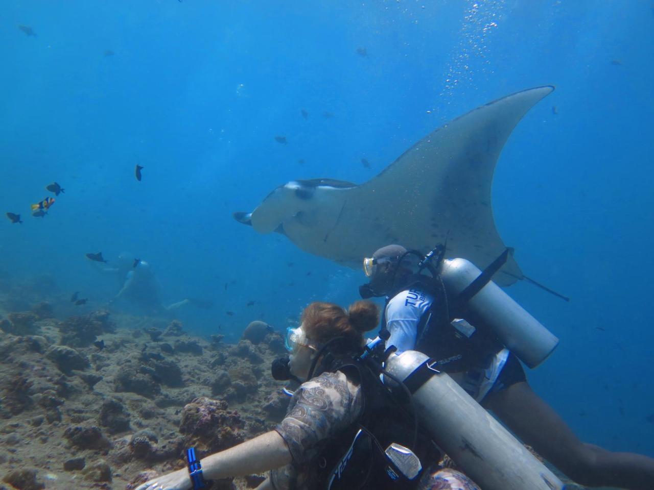 South Ari Dive Center 호텔 당게티 외부 사진