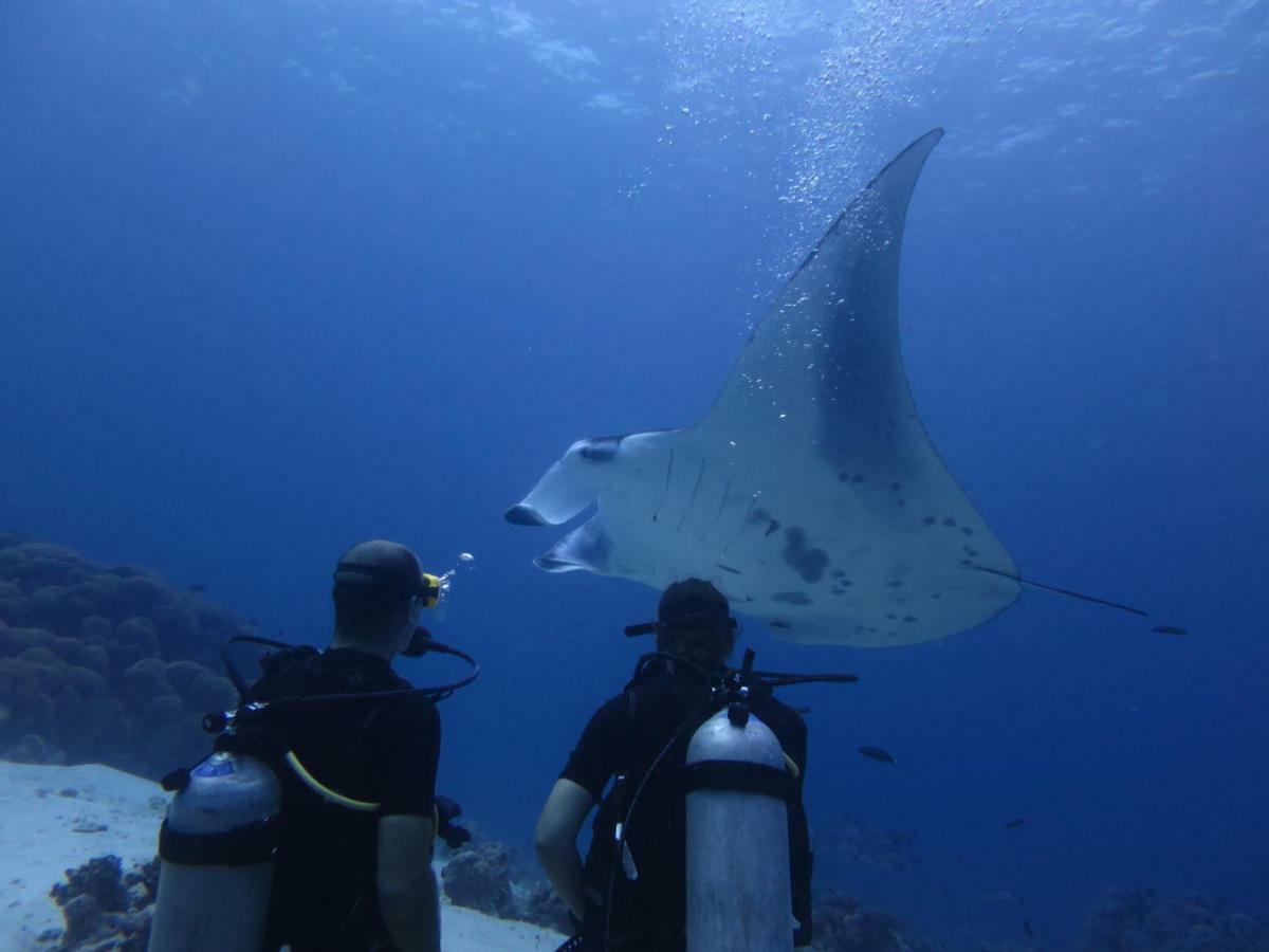 South Ari Dive Center 호텔 당게티 외부 사진