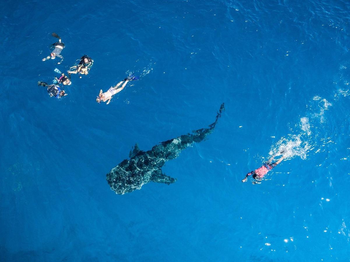 South Ari Dive Center 호텔 당게티 외부 사진